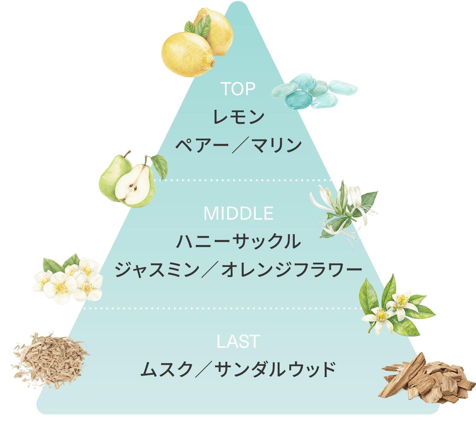 OCEAN の香りテーマ画像