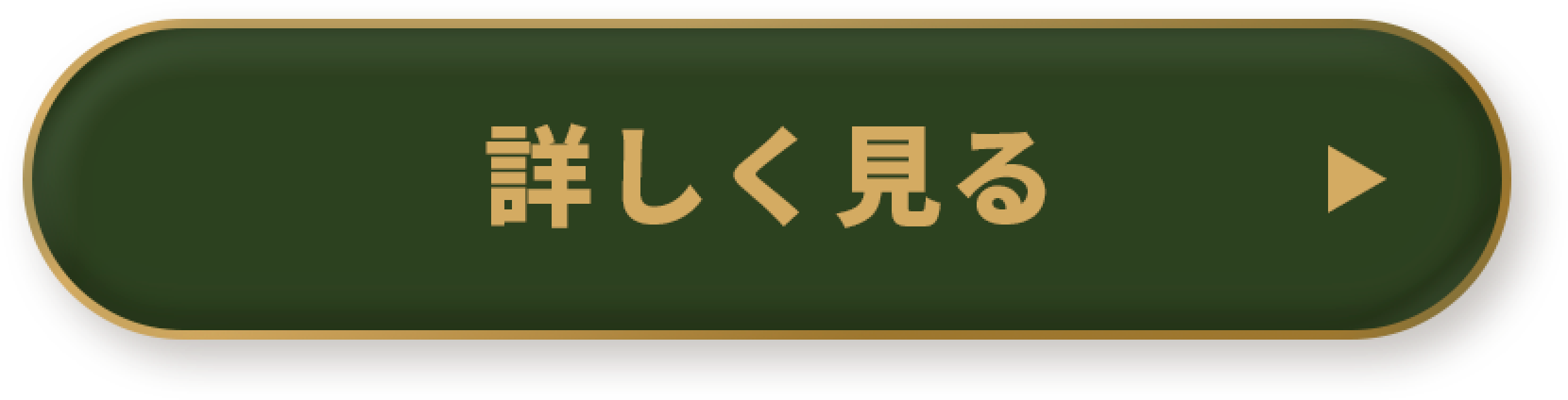 詳しく見る