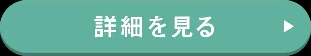 詳細を見る