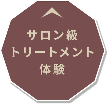 サロン級トリートメント体験