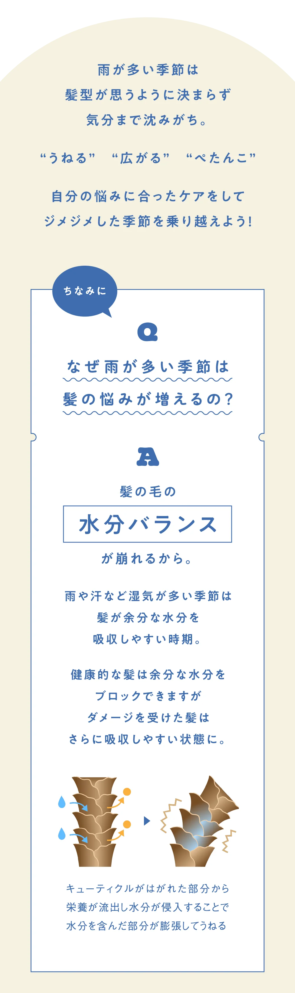 コンテンツ紹介